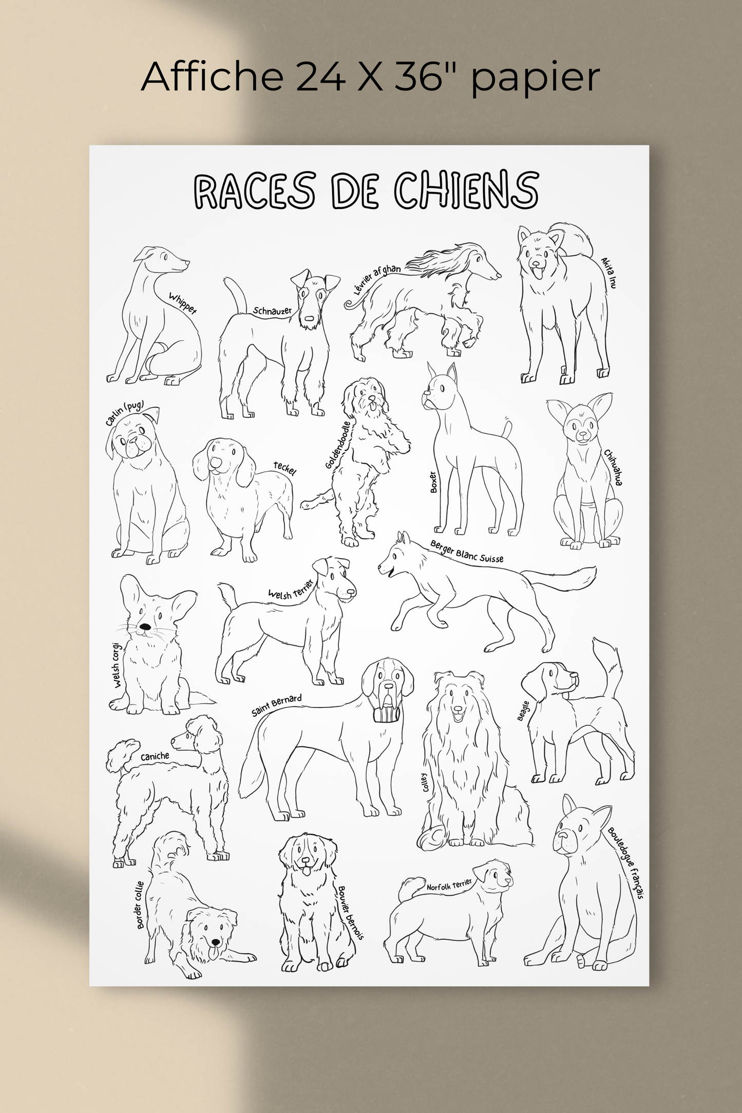 Affiche géante à colorier | Races de chiens