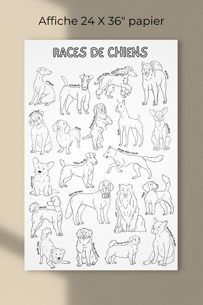 Affiche géante à colorier | Races de chiens