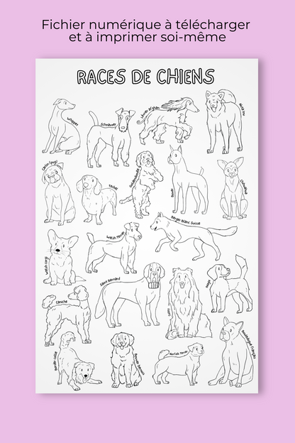 Affiche géante à colorier | Races de chiens