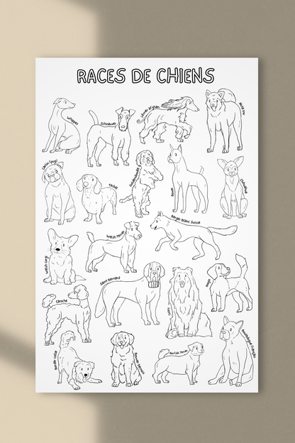 Affiche géante à colorier | Races de chiens