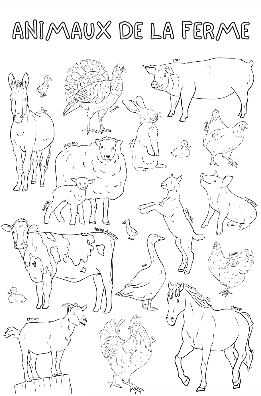 Giant coloring poster | Farm animals