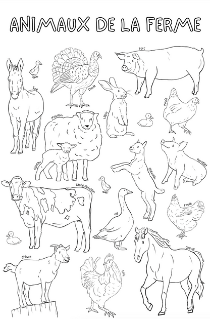 Giant coloring poster | Farm animals