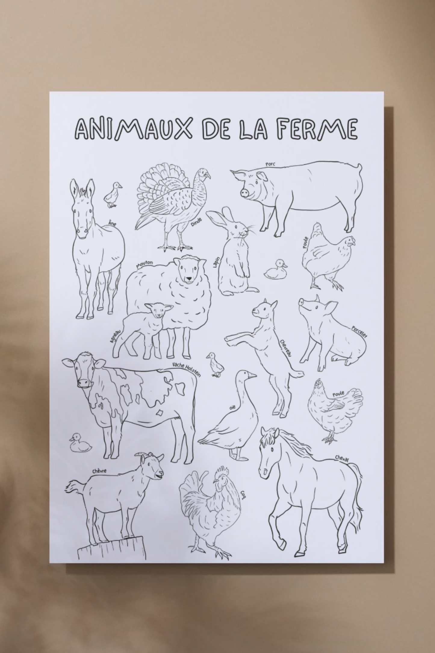 Giant coloring poster | Farm animals