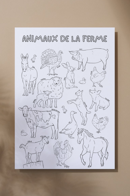 Giant coloring poster | Farm animals