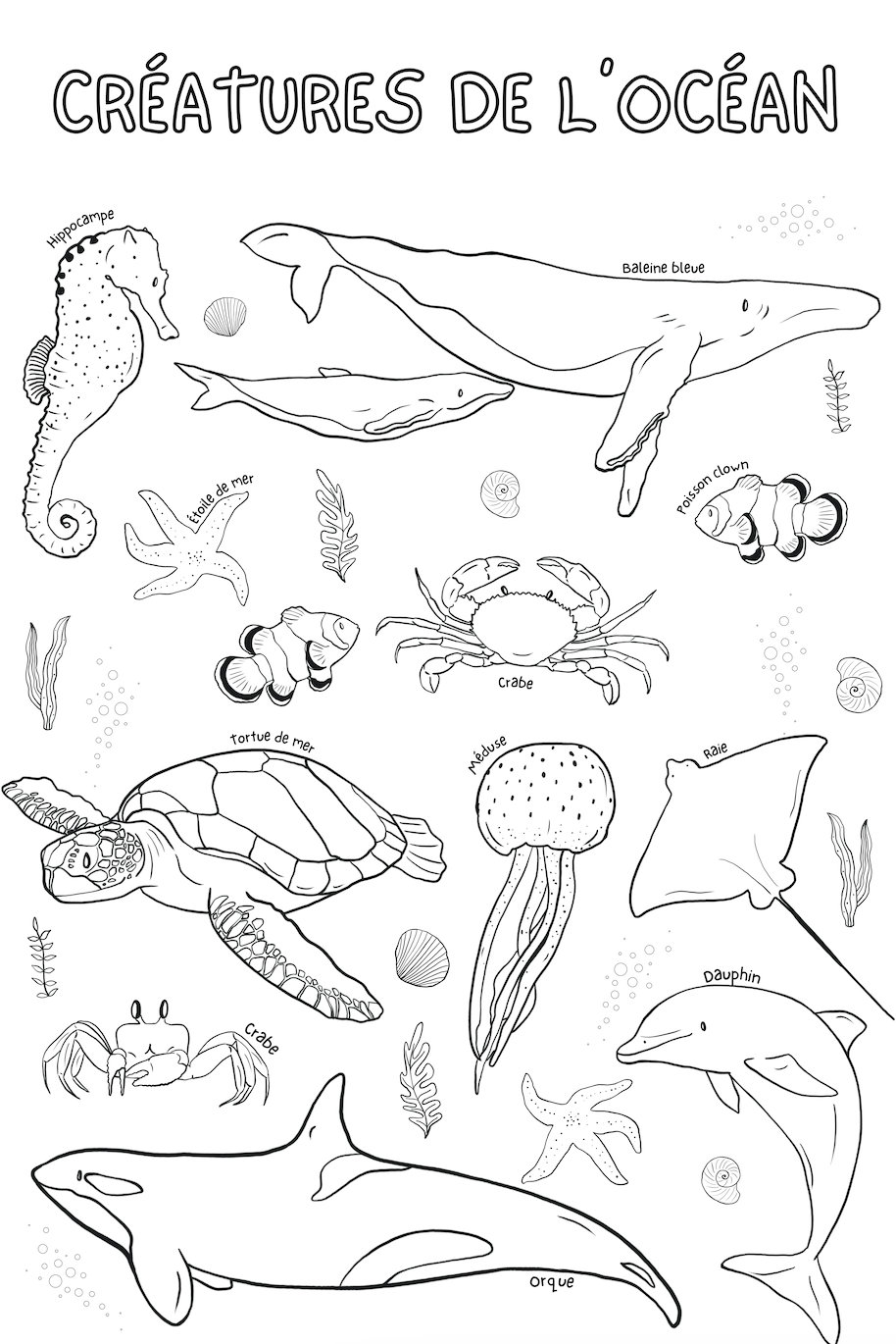 Giant coloring poster | Ocean Creatures