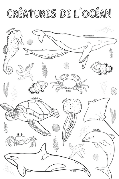 Giant coloring poster | Ocean Creatures