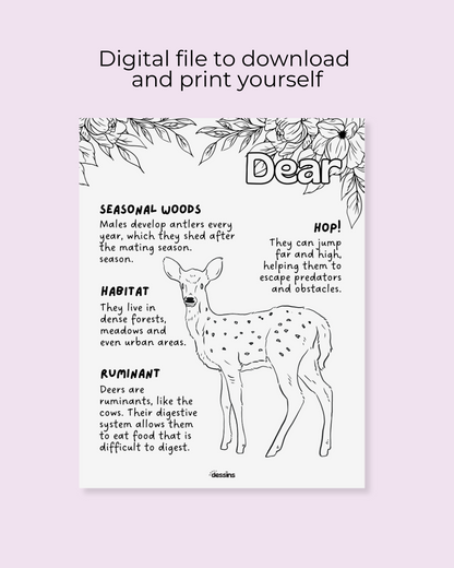 Fun facts | Deer