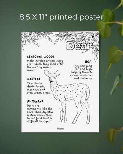 Fun facts | Deer