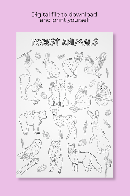 Affiche géante à colorier | Animaux de la forêt