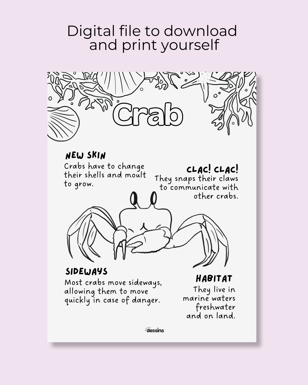 Fun facts | Crab