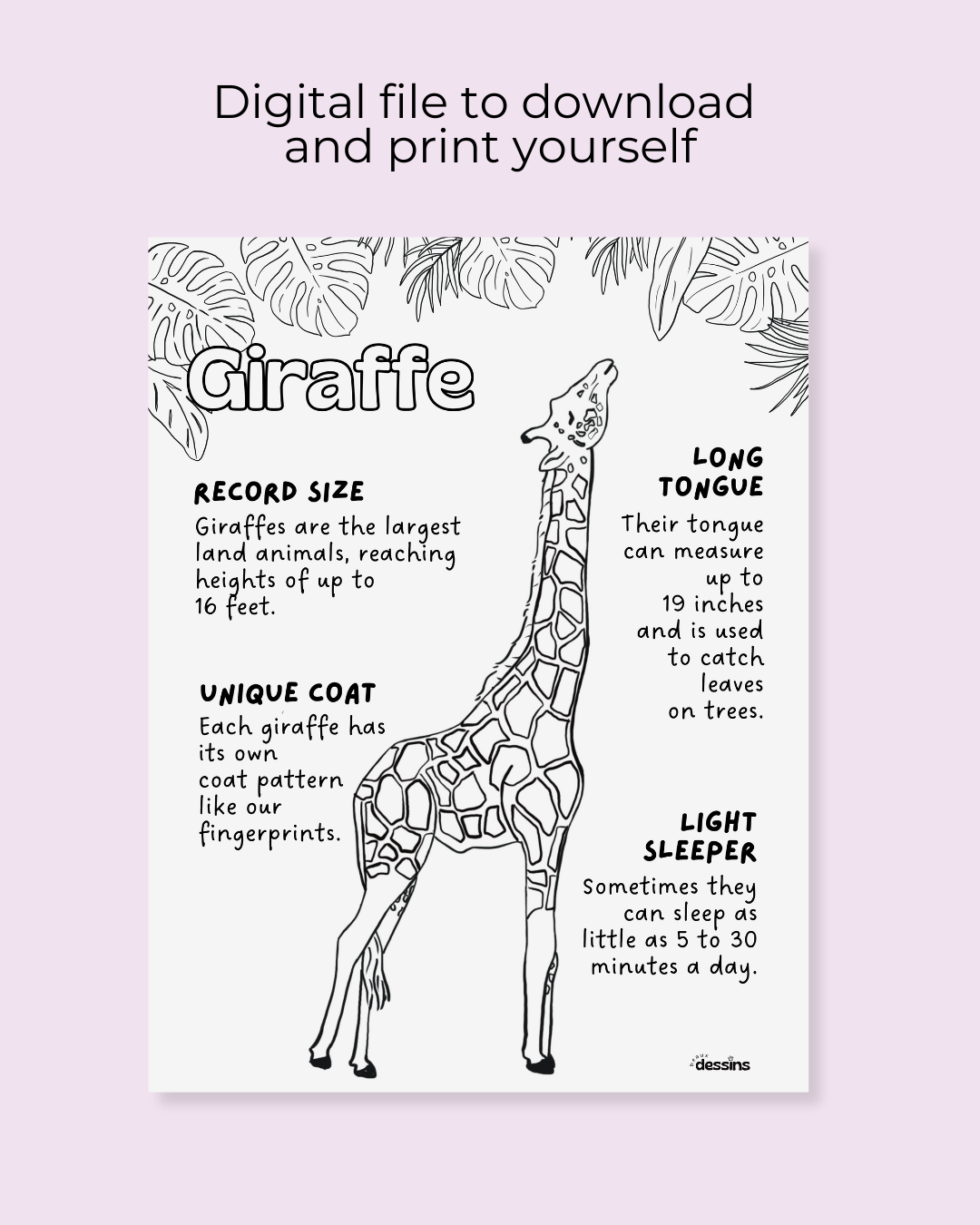 Fun facts | Giraffe