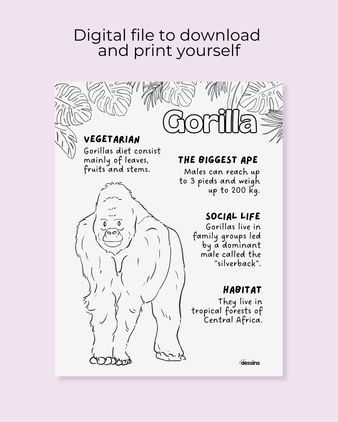 Fun facts | Gorilla