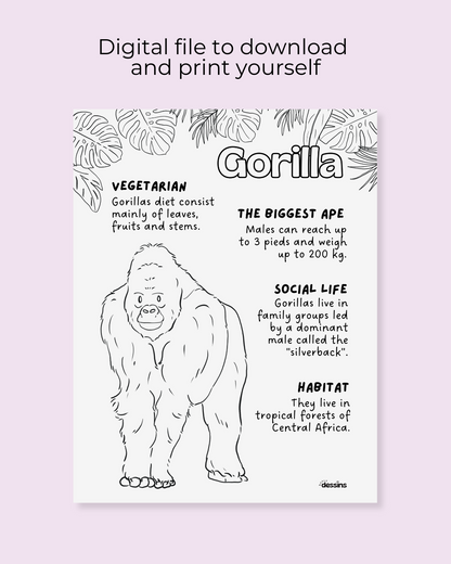 Fun facts | Gorilla