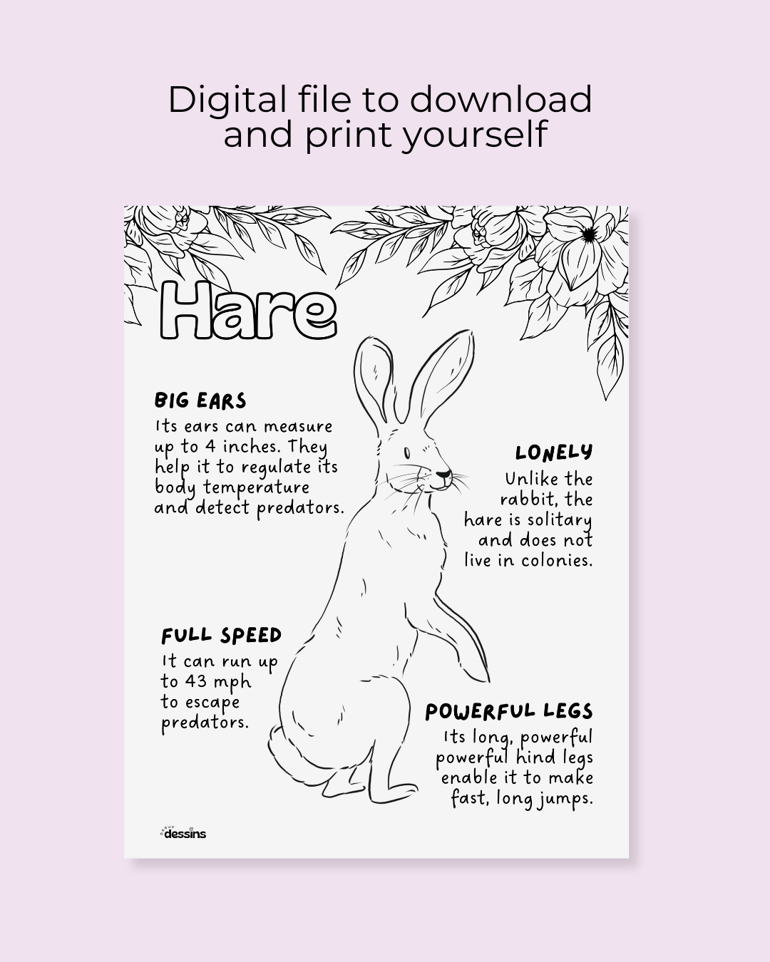 Fun facts | Hare