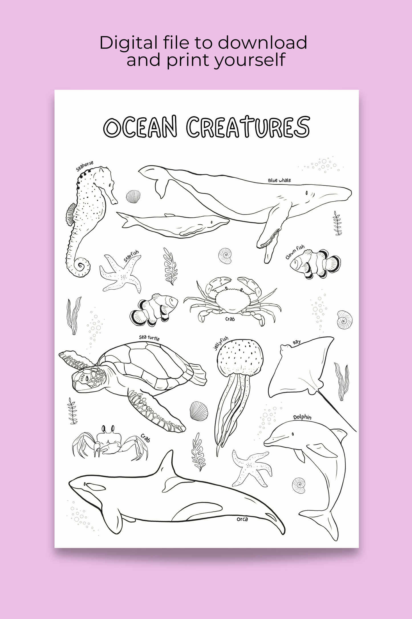 Giant coloring poster | Ocean Creatures