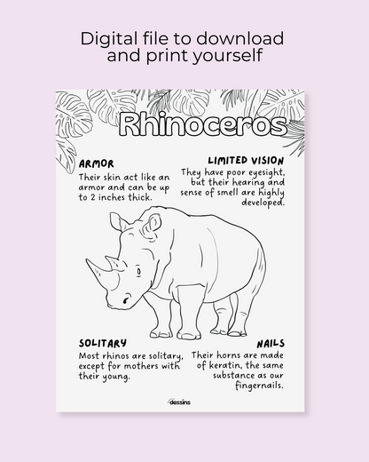 Faits intéressants | Rhinocéros