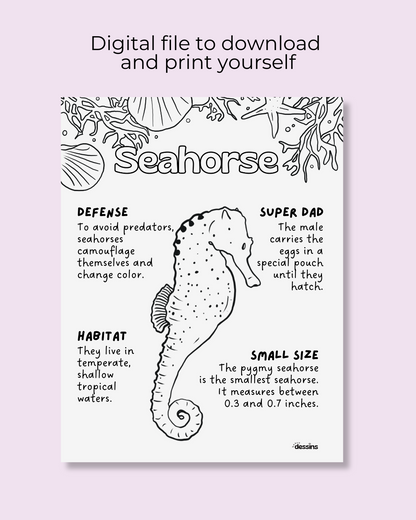 Fun facts | Seahorse