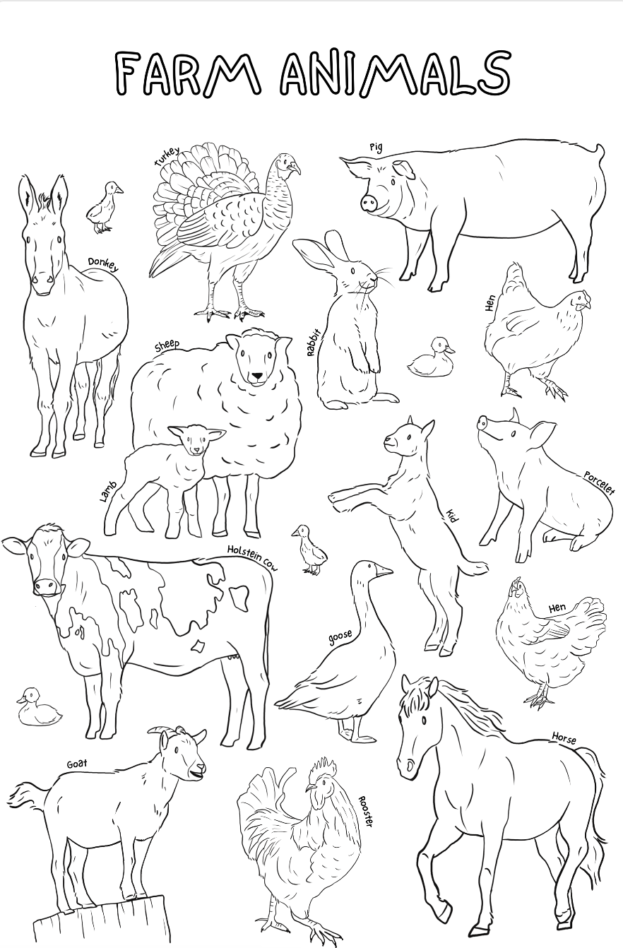 Giant coloring poster | Farm animals