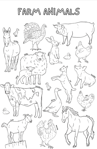 Giant coloring poster | Farm animals