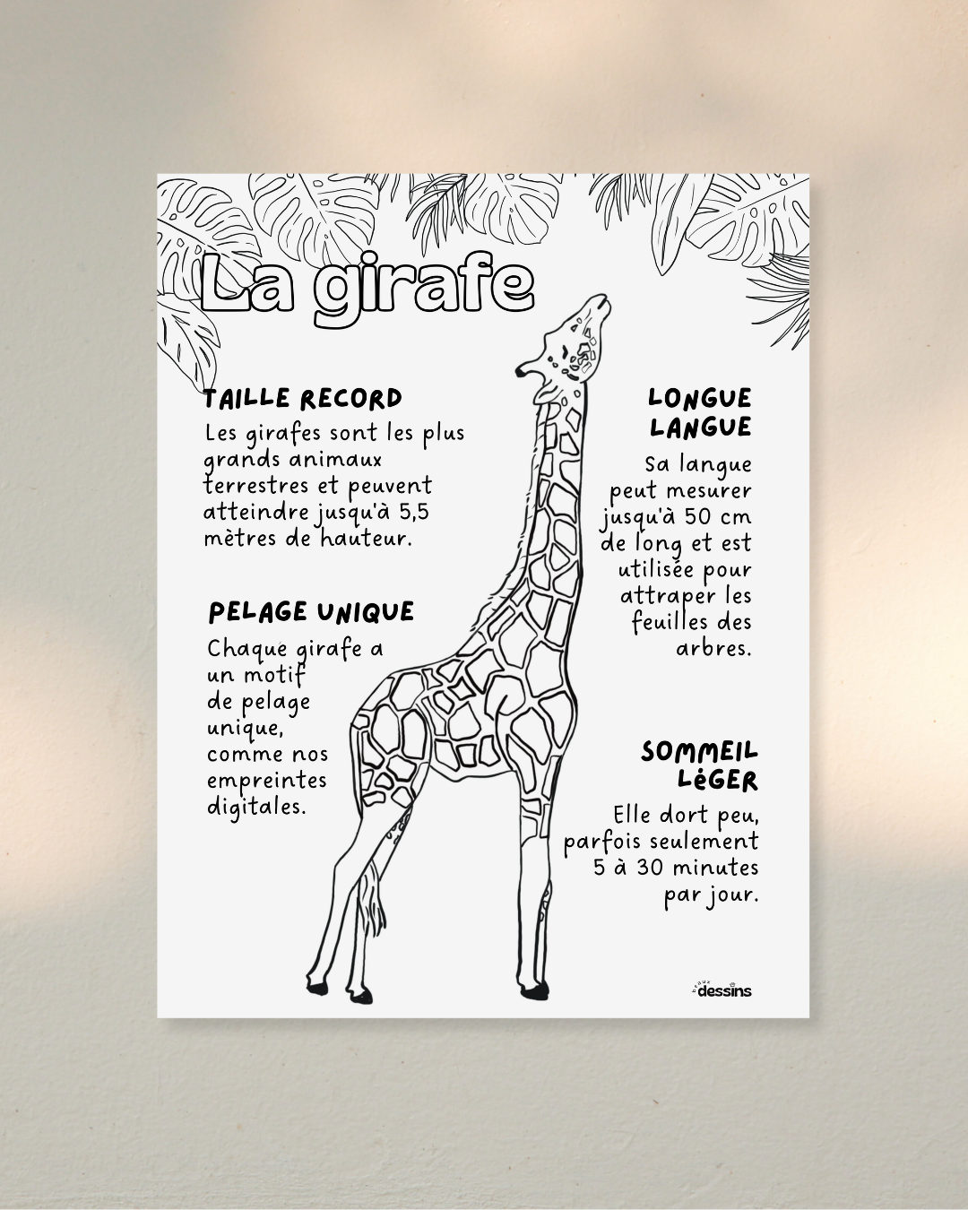 Fun facts | Giraffe