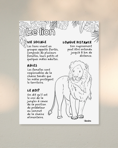 Faits intéressants | Lion