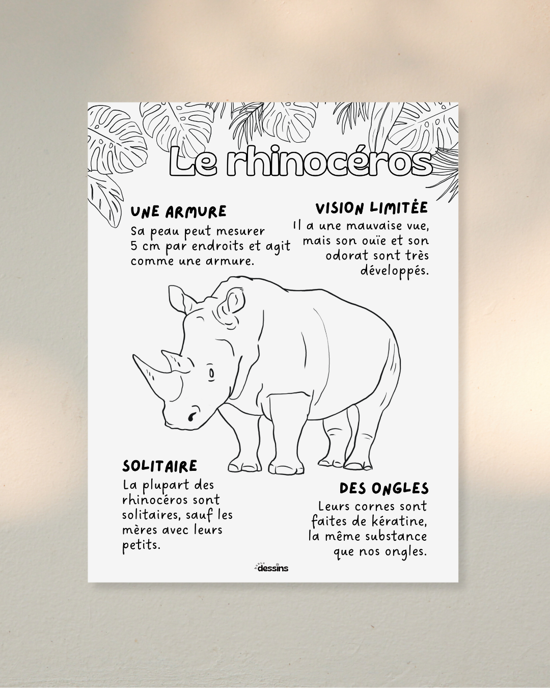 Faits intéressants | Rhinocéros