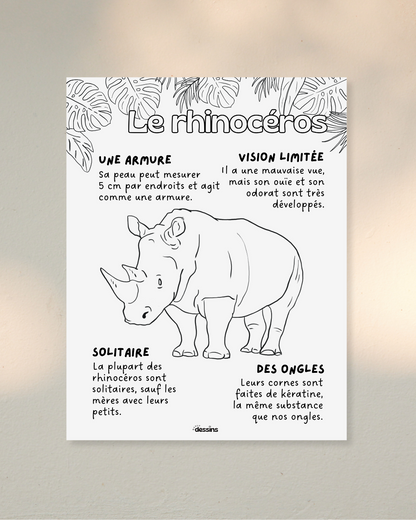 Faits intéressants | Rhinocéros