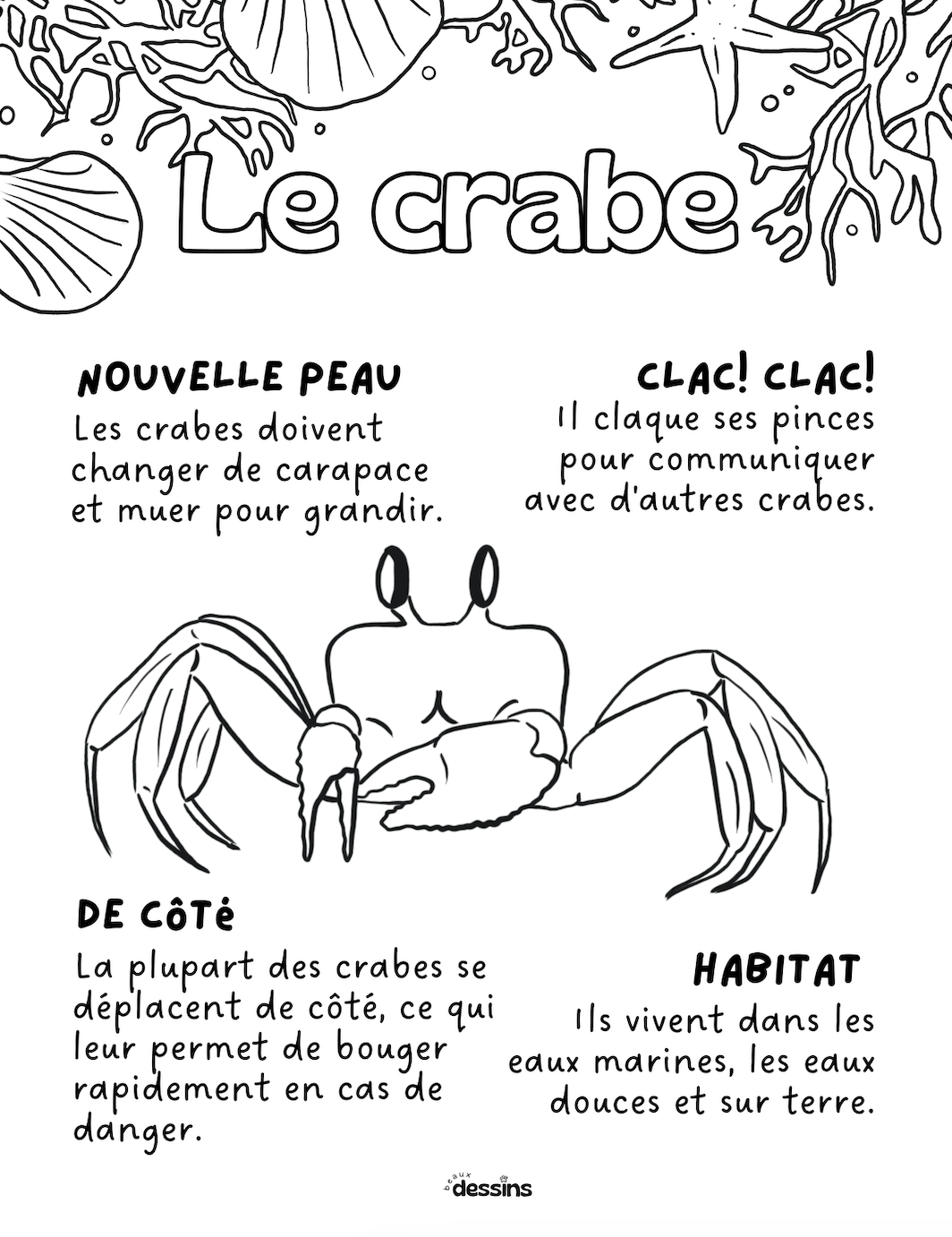 Fun facts | Crab