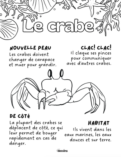 Fun facts | Crab