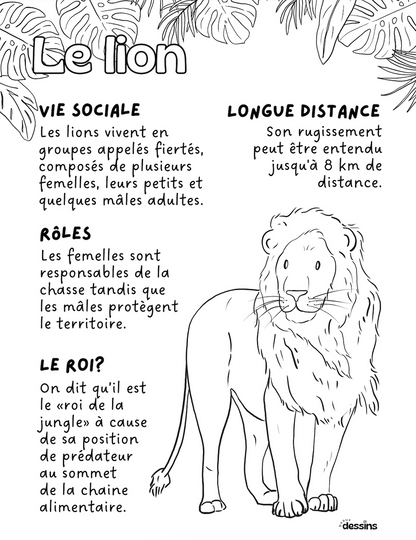 Faits intéressants | Lion