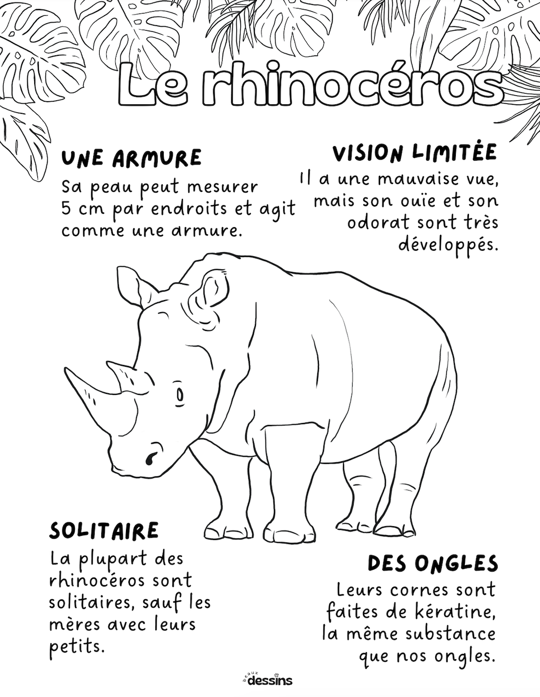 Faits intéressants | Rhinocéros