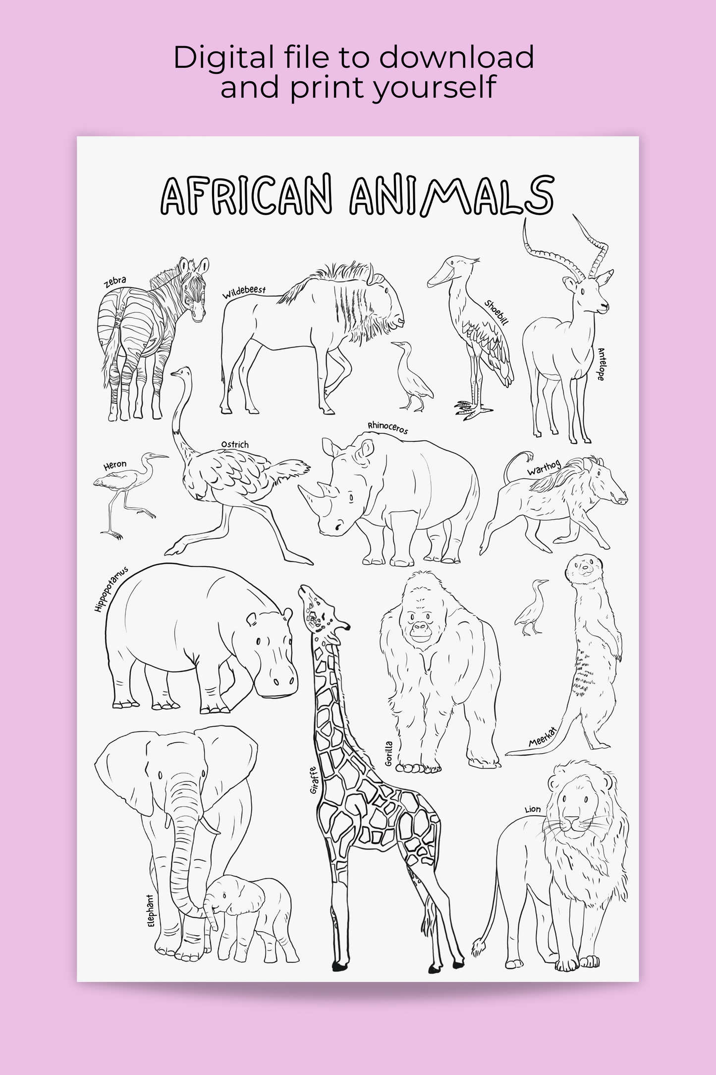 Affiche géante à colorier | Animaux d'Afrique