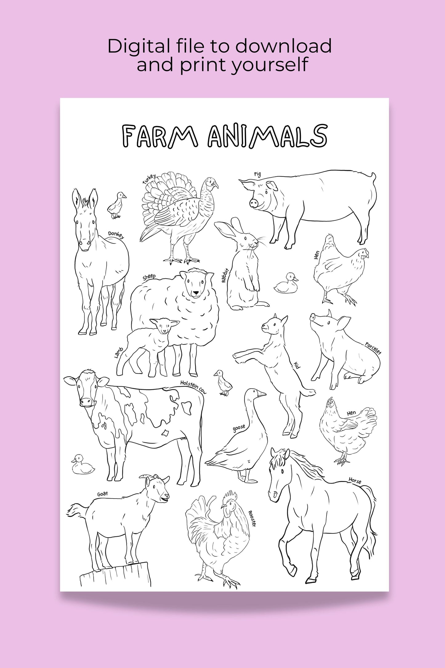 Giant coloring poster | Farm animals