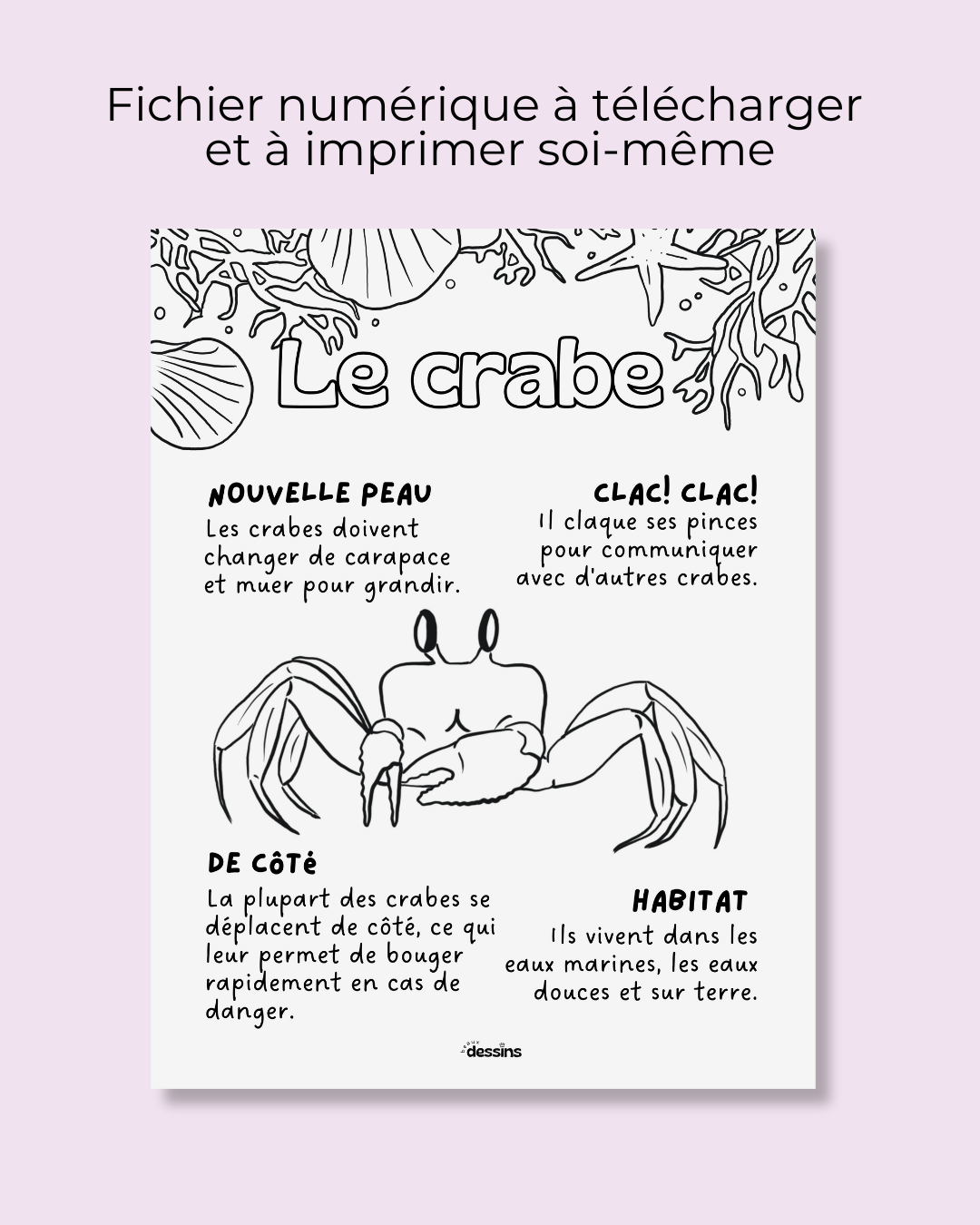 Fun facts | Crab