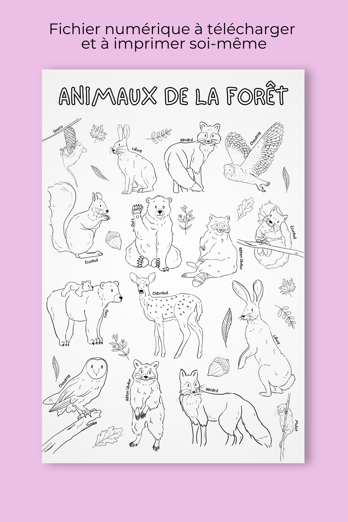 Affiche géante à colorier | Animaux de la forêt