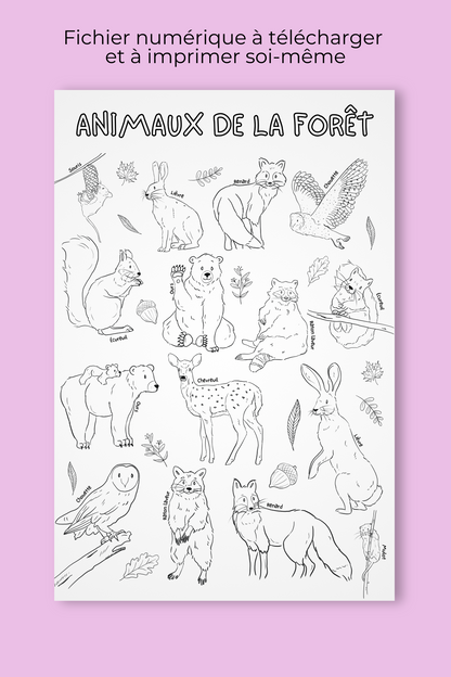 Affiche géante à colorier | Animaux de la forêt