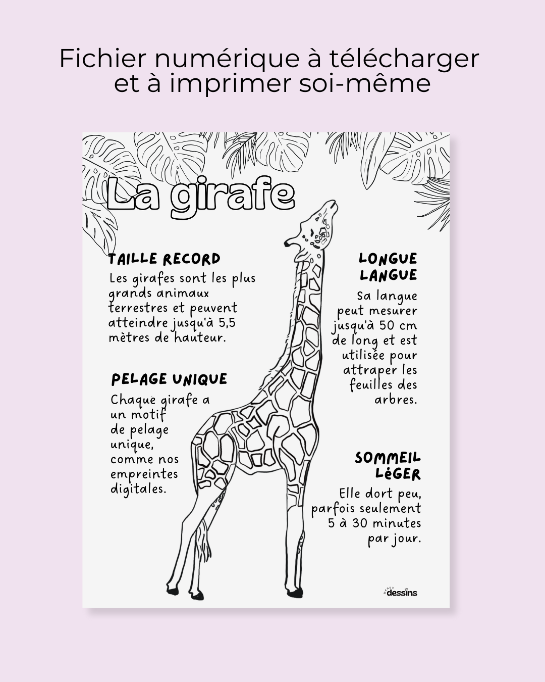 Fun facts | Giraffe