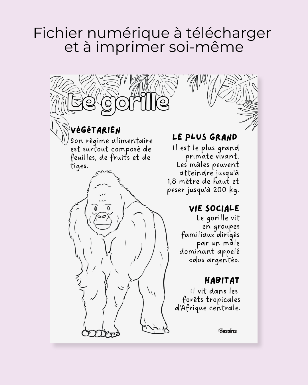 Fun facts | Gorilla