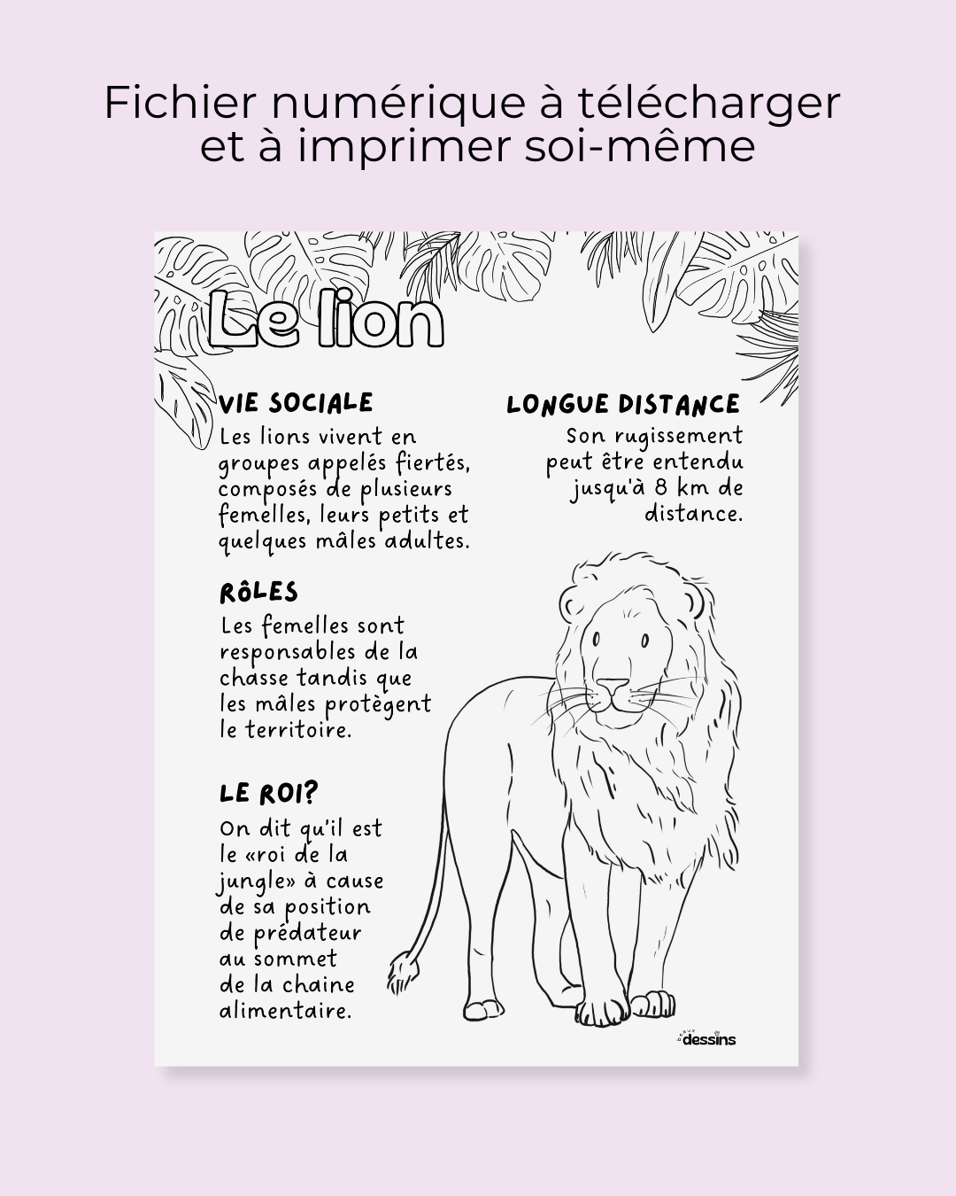 Faits intéressants | Lion