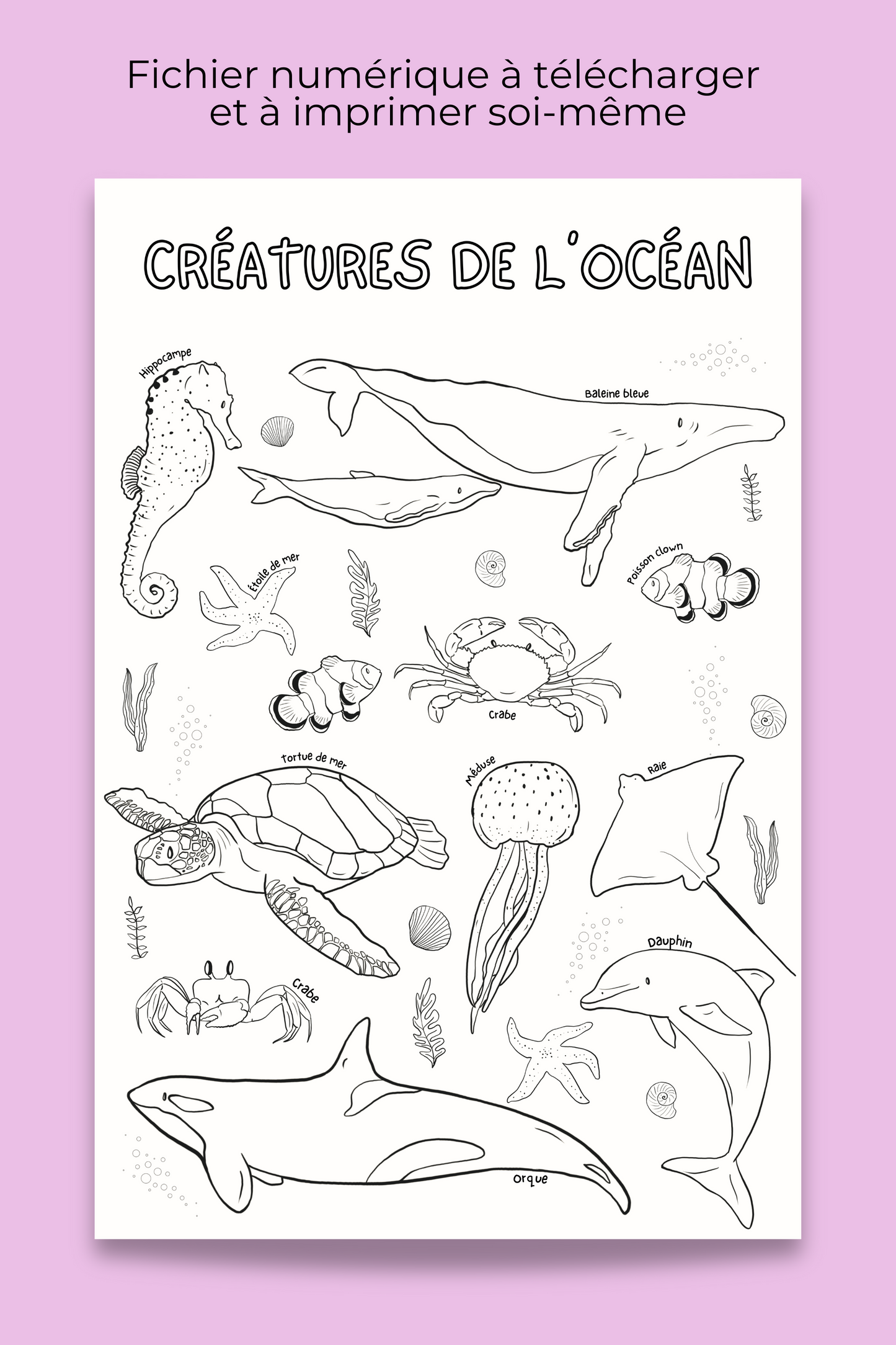 Giant coloring poster | Ocean Creatures