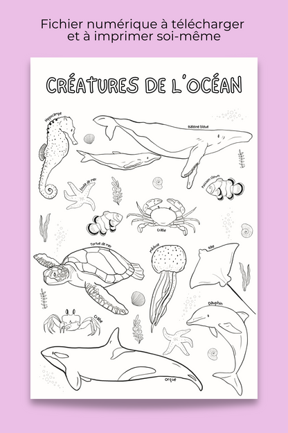 Giant coloring poster | Ocean Creatures