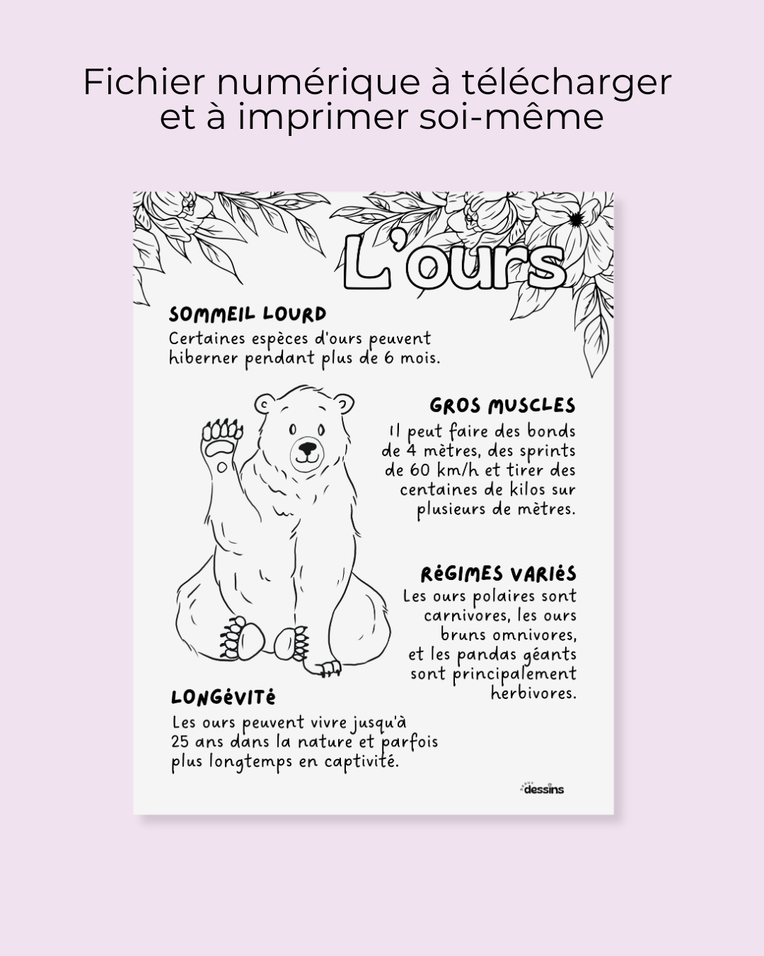 Faits intéressants | Ours