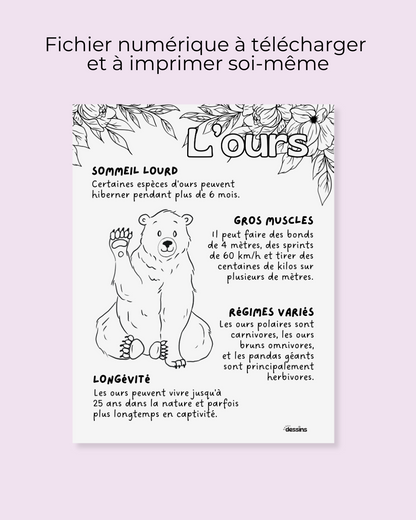 Faits intéressants | Ours