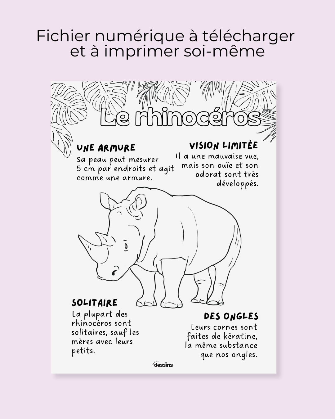 Faits intéressants | Rhinocéros