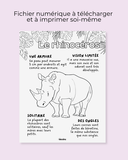 Faits intéressants | Rhinocéros