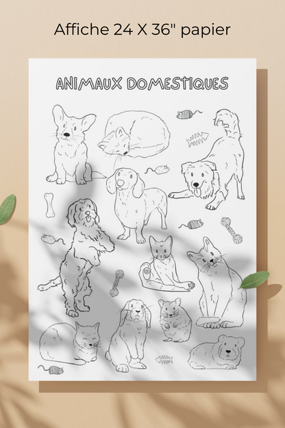 Giant coloring poster | Pets