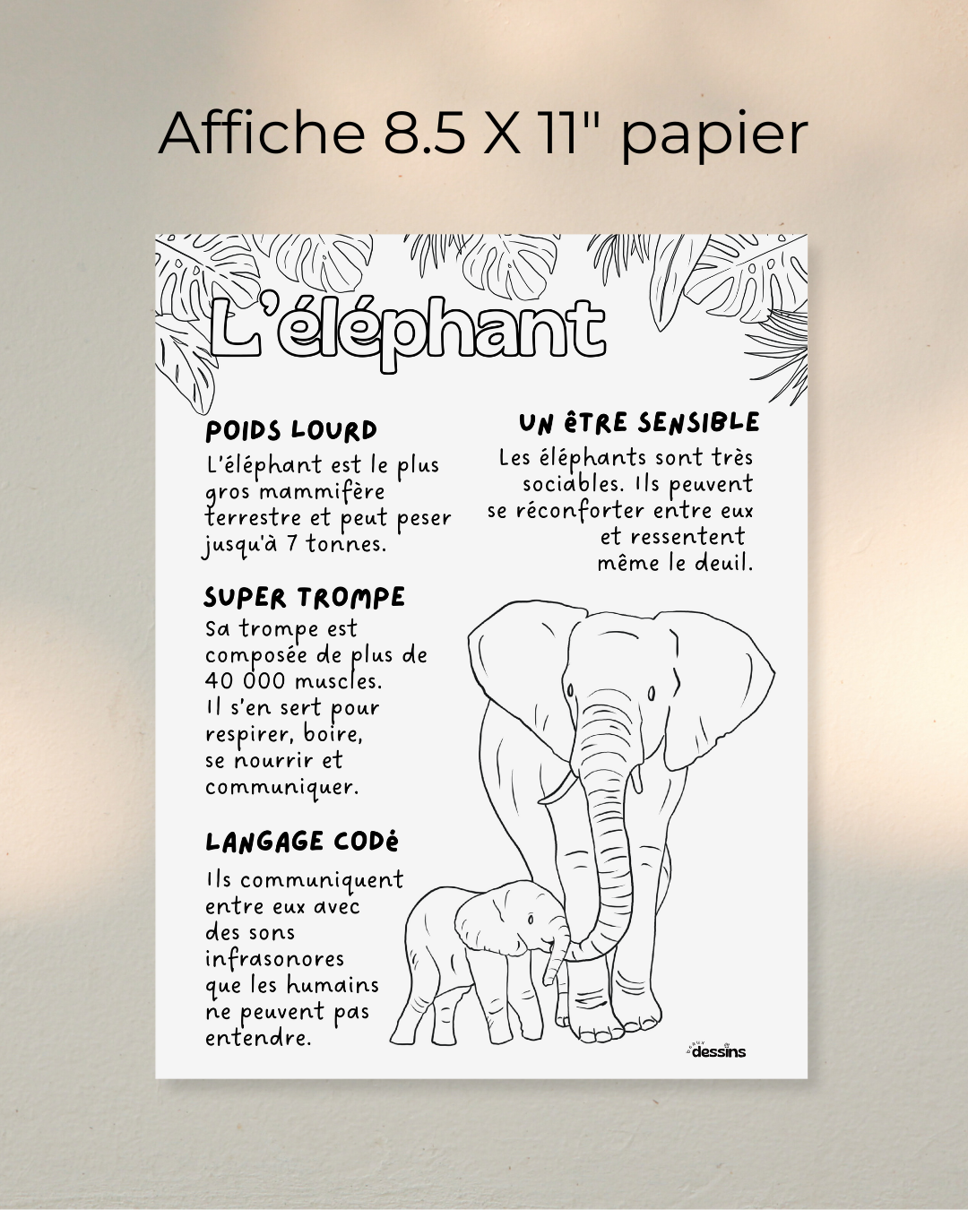 Faits intéressants | Éléphant