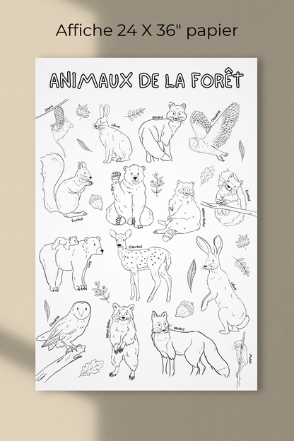 Affiche géante à colorier | Animaux de la forêt