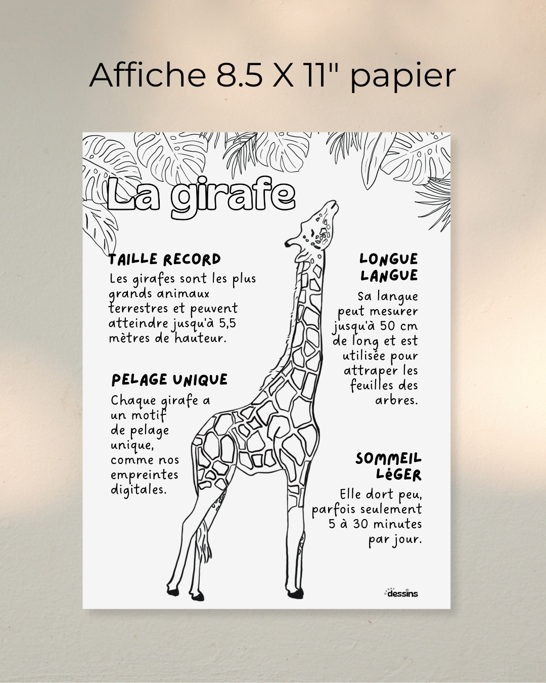 Fun facts | Giraffe