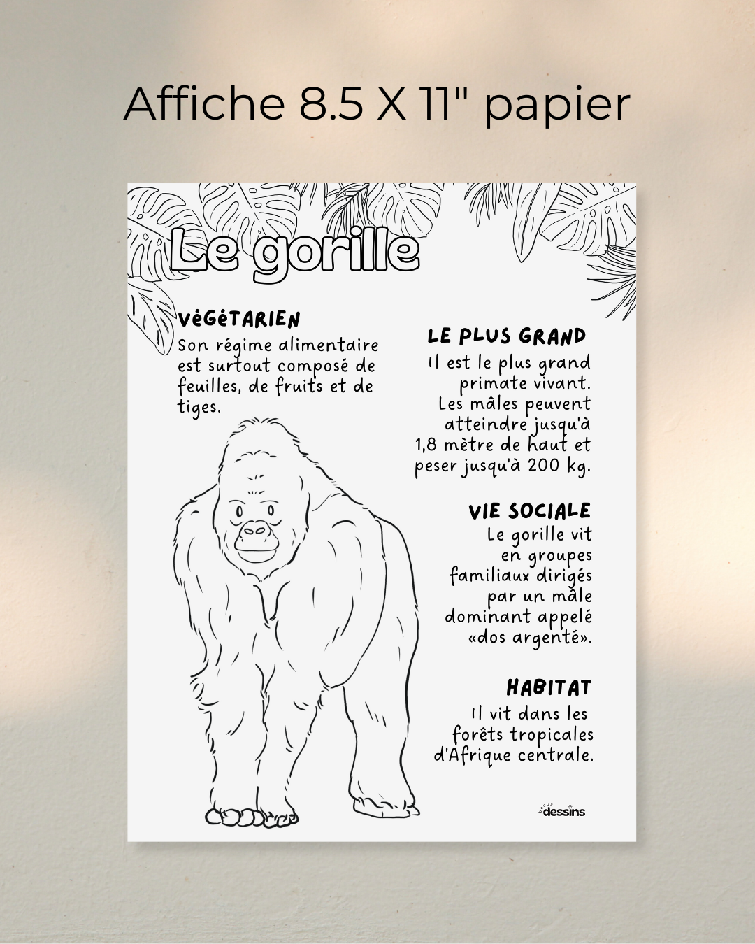 Fun facts | Gorilla